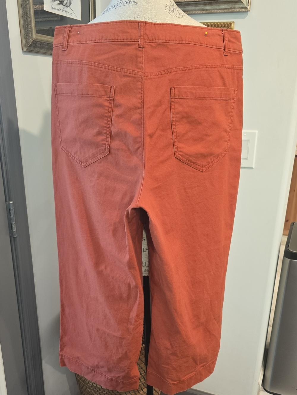 Old Navy Wide-Leg Cropped Pants in Rust Orange - Picture 5 of 6